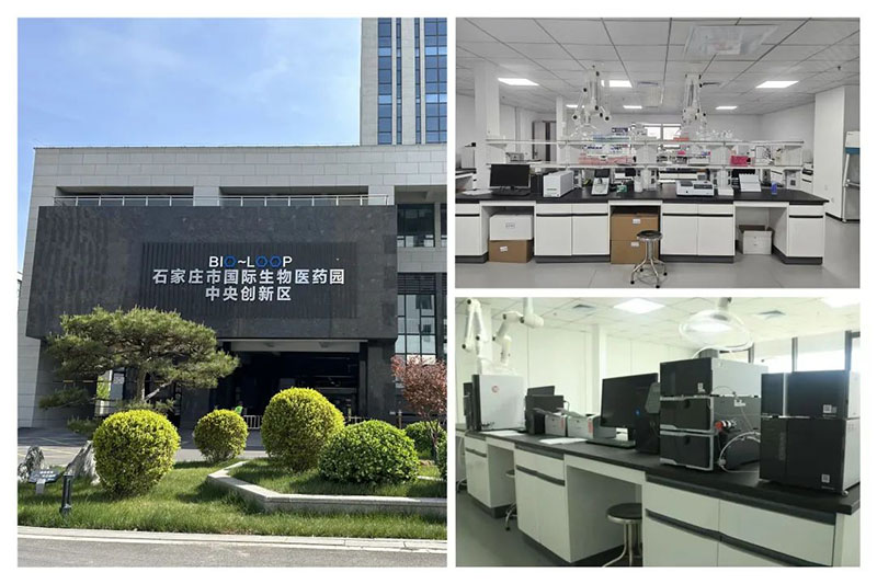 1736994502511385.jpg 640 (1).jpg