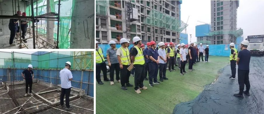 1737013609768531.jpg 640.jpg